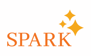 Spark Logo Color Spark Logo Color